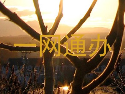 一网通办