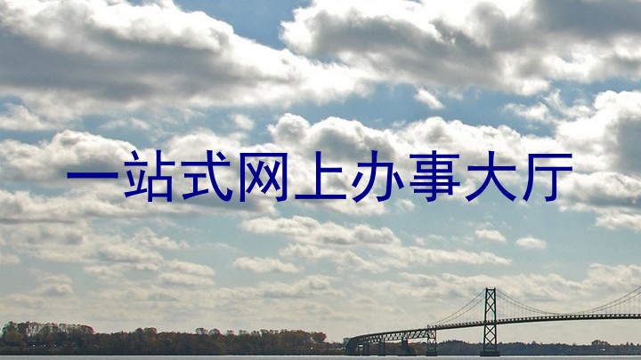 一站式网上办事大厅