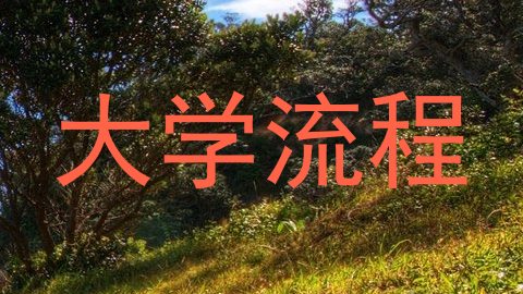 大学流程