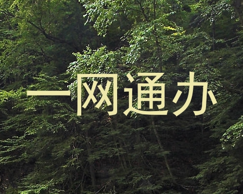 一网通办