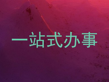 一站式办事