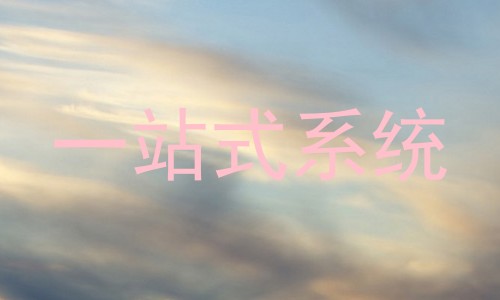 一站式系统