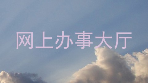 网上办事大厅