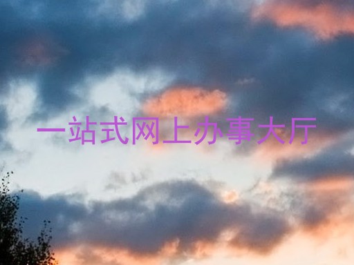 一站式网上办事大厅