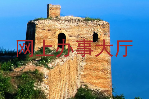 网上办事大厅