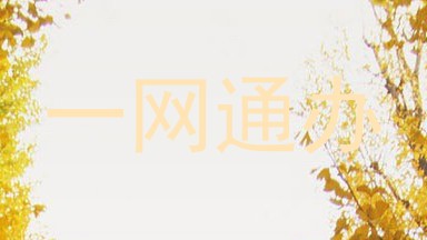 一网通办