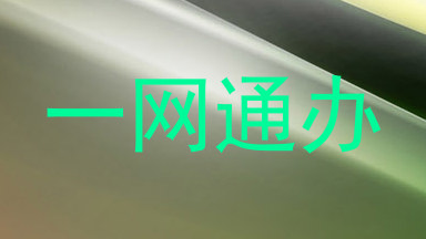 一网通办