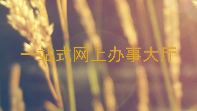 一站式网上办事大厅