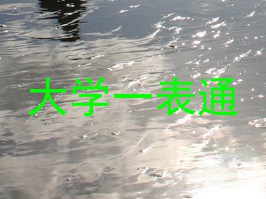 大学一表通