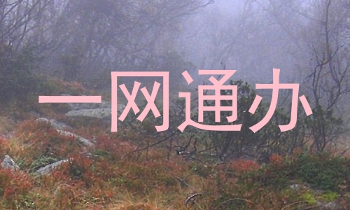 一网通办