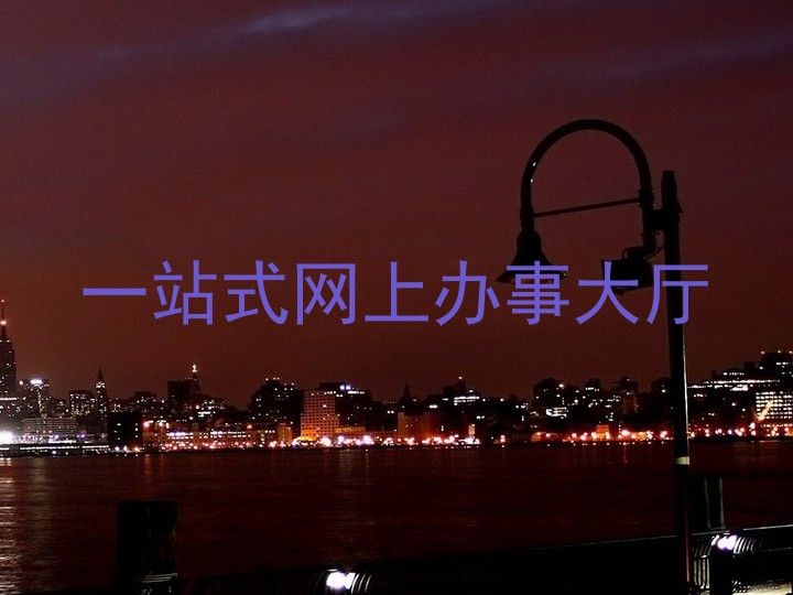 一站式网上办事大厅