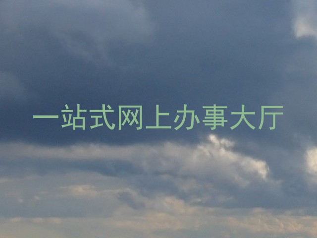一站式网上办事大厅