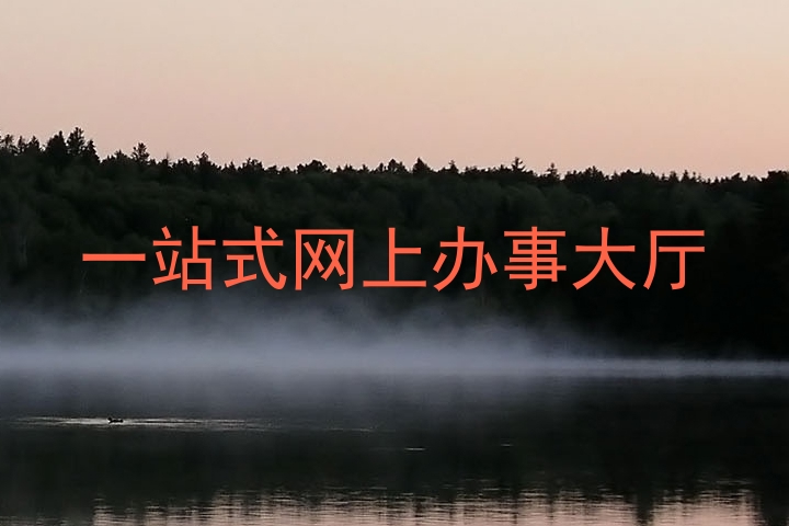 网上办事大厅