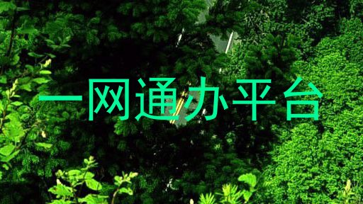 一网通办平台