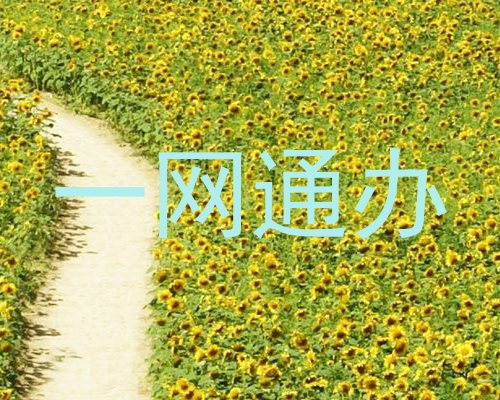 一网通办