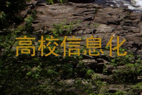 高校信息化