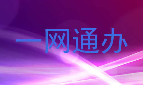 一网通办