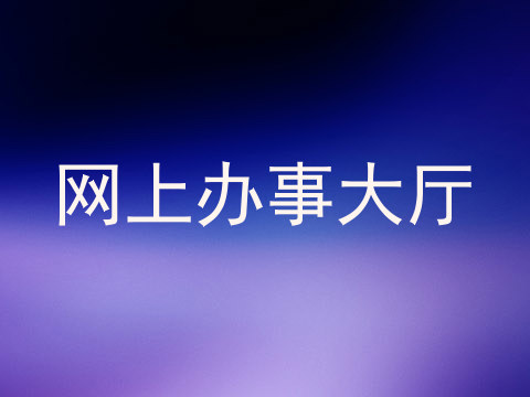 网上办事大厅