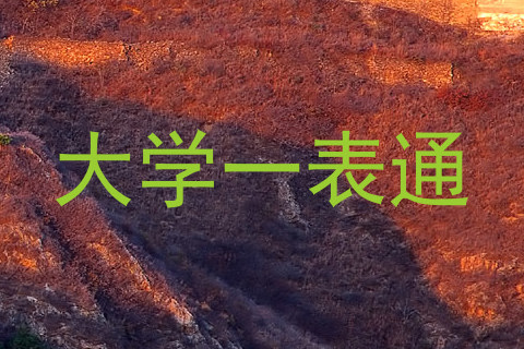 大学一表通