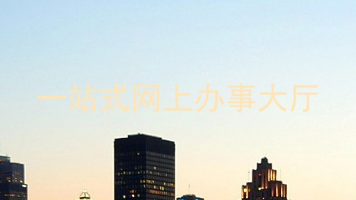 一站式网上办事大厅