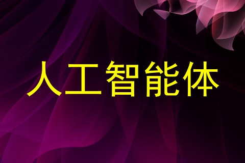 人工智能体