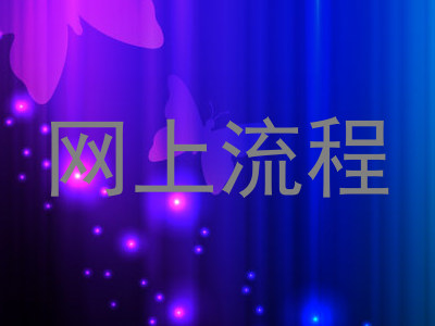 网上流程
