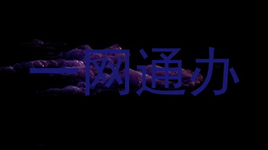 一网通办
