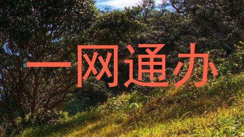 一网通办