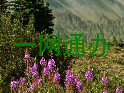 一网通办
