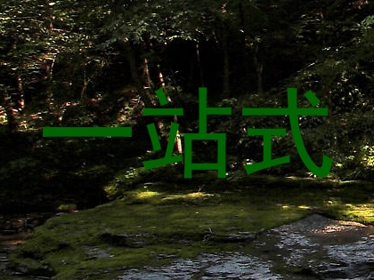 一站式