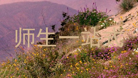 师生一站式