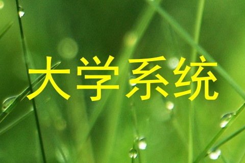 大学系统