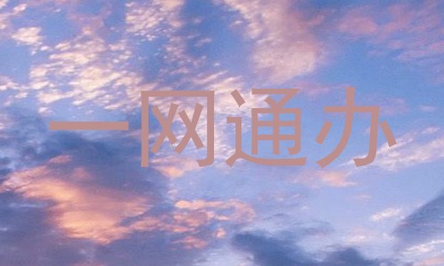 一网通办