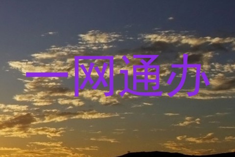 一网通办