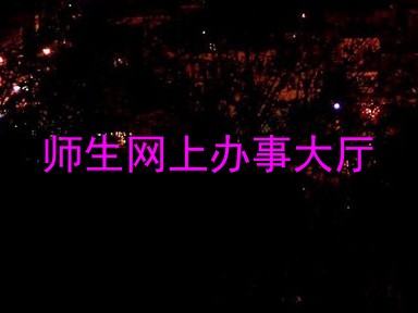 师生网上办事大厅
