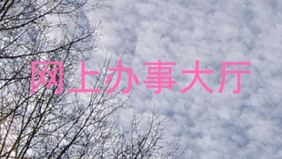 网上办事大厅
