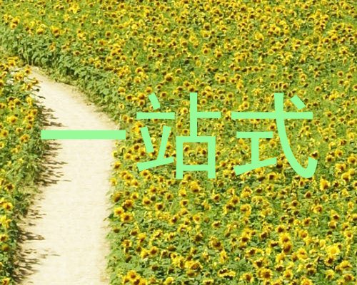 一站式