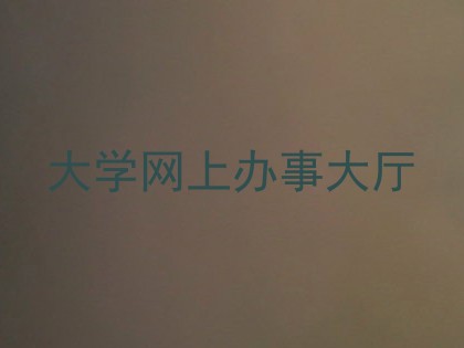 大学网上办事大厅