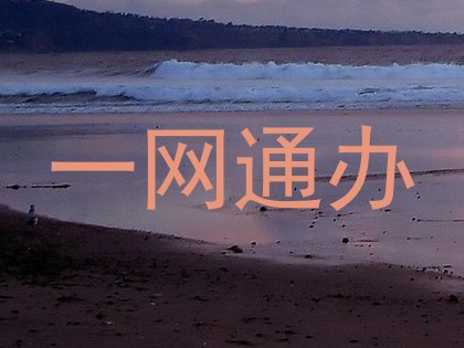 一网通办