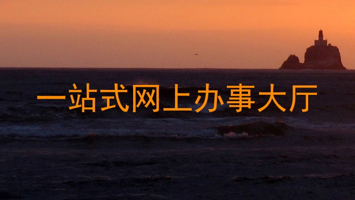 一站式网上办事大厅
