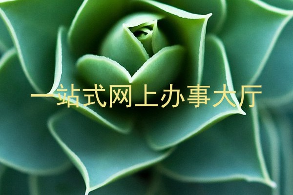 一站式网上办事大厅