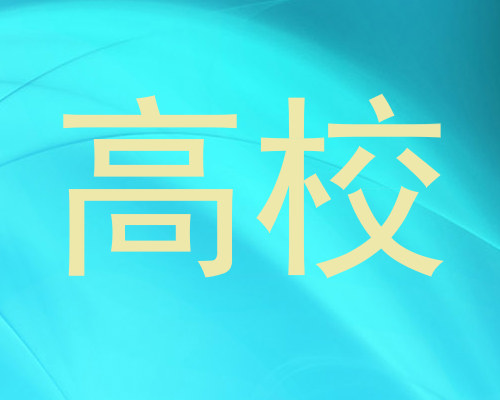 高校