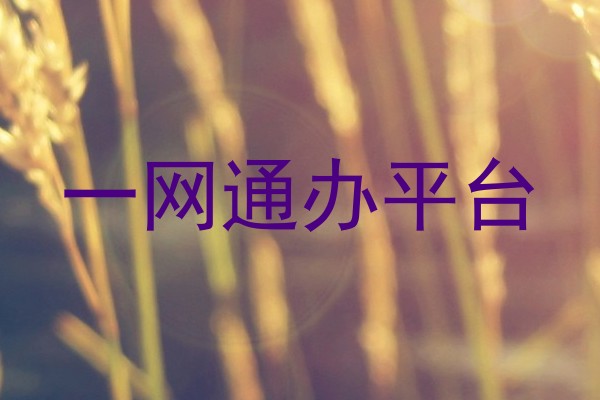 一网通办平台
