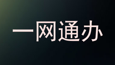 一网通办