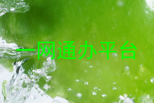 一网通办平台