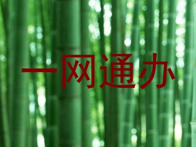 一网通办