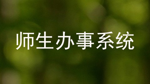 师生办事系统