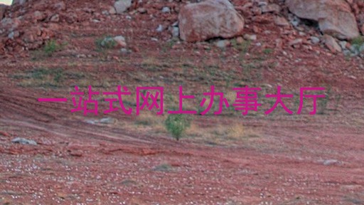 一站式网上办事大厅