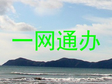 一网通办