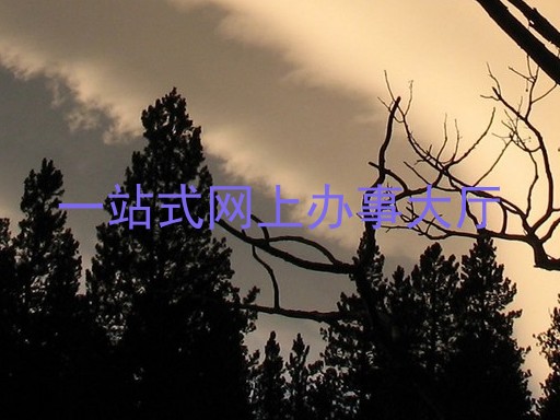 一站式网上办事大厅